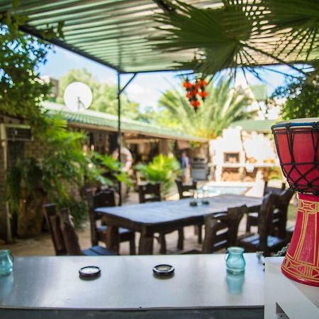 Auberge de jeunesse Tsumeb Backpackers & Safari Extérieur photo